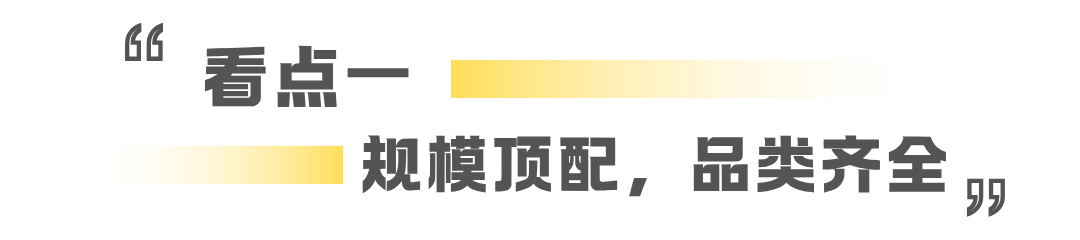 1786607362665518.png 99png.png